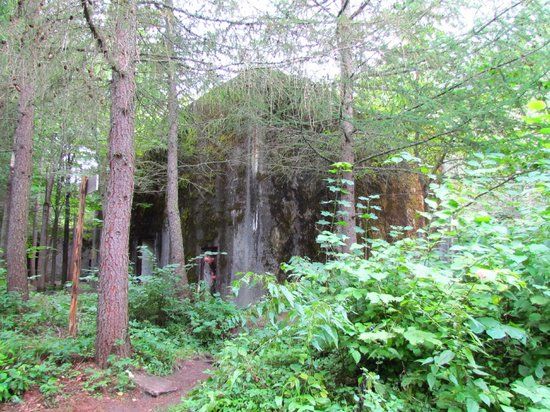 Mamerki Miasto Brygidy